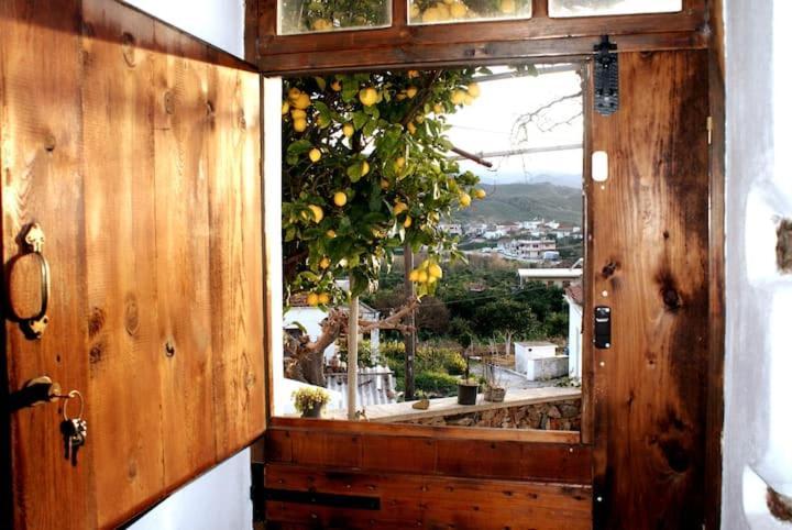 Afrodite'S House-Restaurated Oil Factory Agia  Dış mekan fotoğraf
